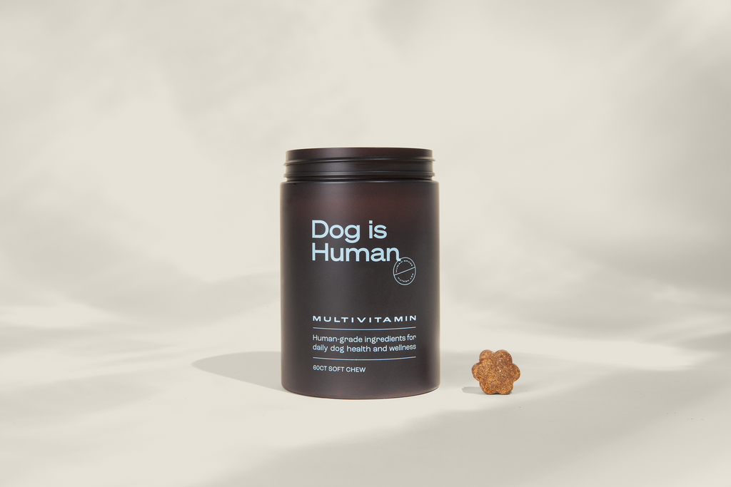 Dog is Human Multivitamínico